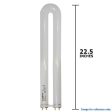 Sylvania FBO31 835 31W 3500K T8 FBO Octron Curvalume Fluorescent U-Shaped Bulb Fashion