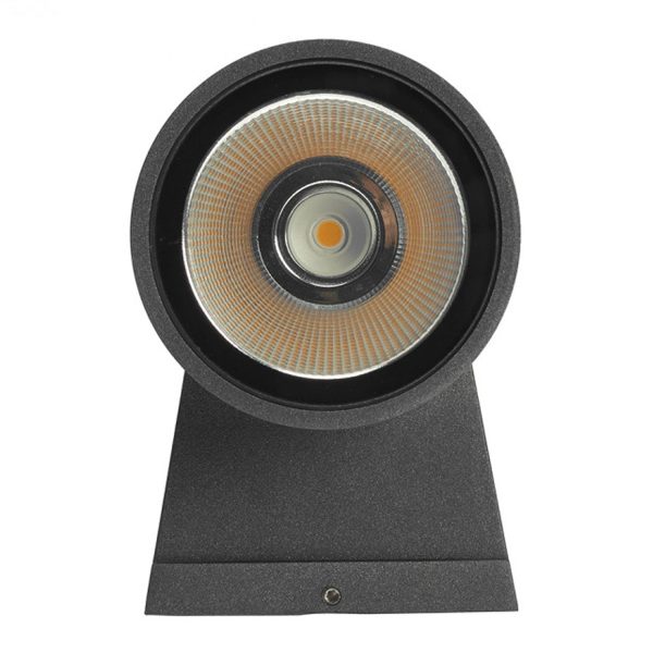 Harlow Outdoor Up Down LED Wall Light in Charcoal For Discount