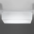 Caorle Indoor LED Wall Ceiling Light 18.5w Matt White For Sale