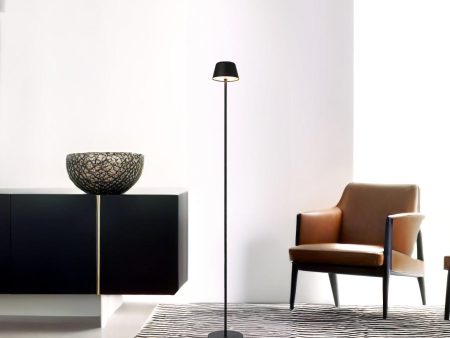 Briana Rechargeable LED Floor Lamp in Black, Brown, Green or White For Sale